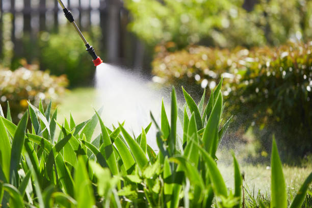 24/7 Emergency Mosquito Control experts in Converse, IN