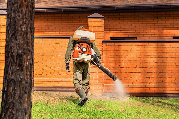 Top rated local Mosquito Control specialists in Converse, IN